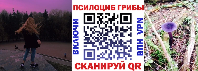 Купить закладки  Оленегорск  Псилоцибиновые грибы Psilocybine cubensis 